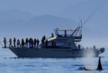 Marine Wildlife Tour